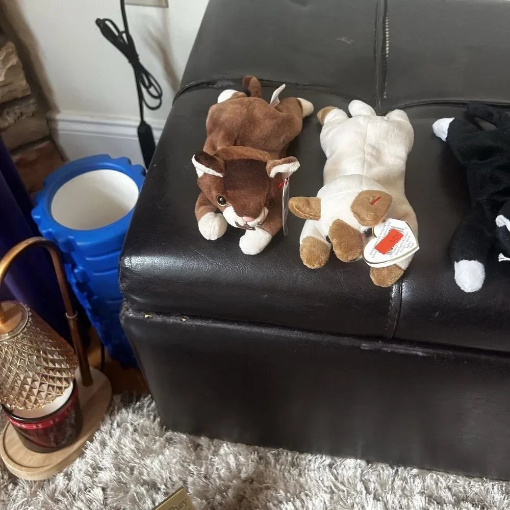 7 Cat Beanie Babies Plush Lot Stuffed Toy 1990’s Vintage KittenKitty Lot #3